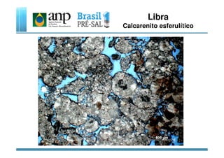 Libra
Calcarenito esferulítico
 