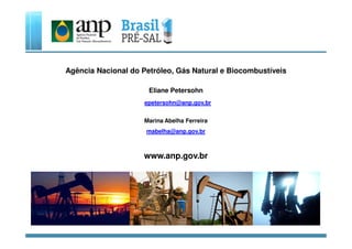 Agência Nacional do Petróleo, Gás Natural e Biocombustíveis
Eliane Petersohn
epetersohn@anp.gov.br
Marina Abelha Ferreira
mabelha@anp.gov.br
www.anp.gov.br
 