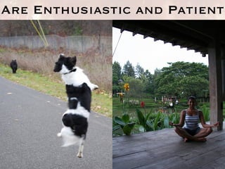 Are Enthusiastic and Patient 