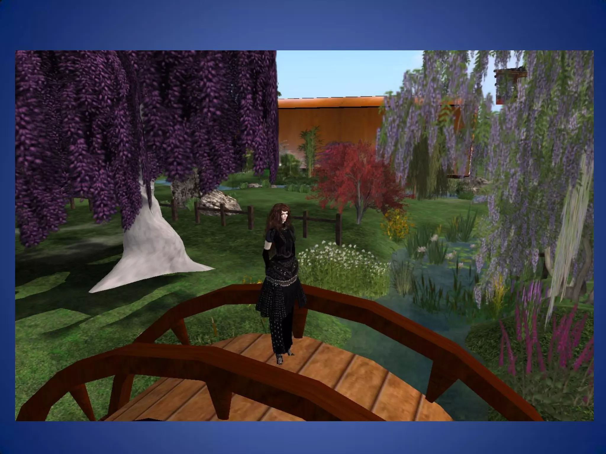 Libraries And Second Life