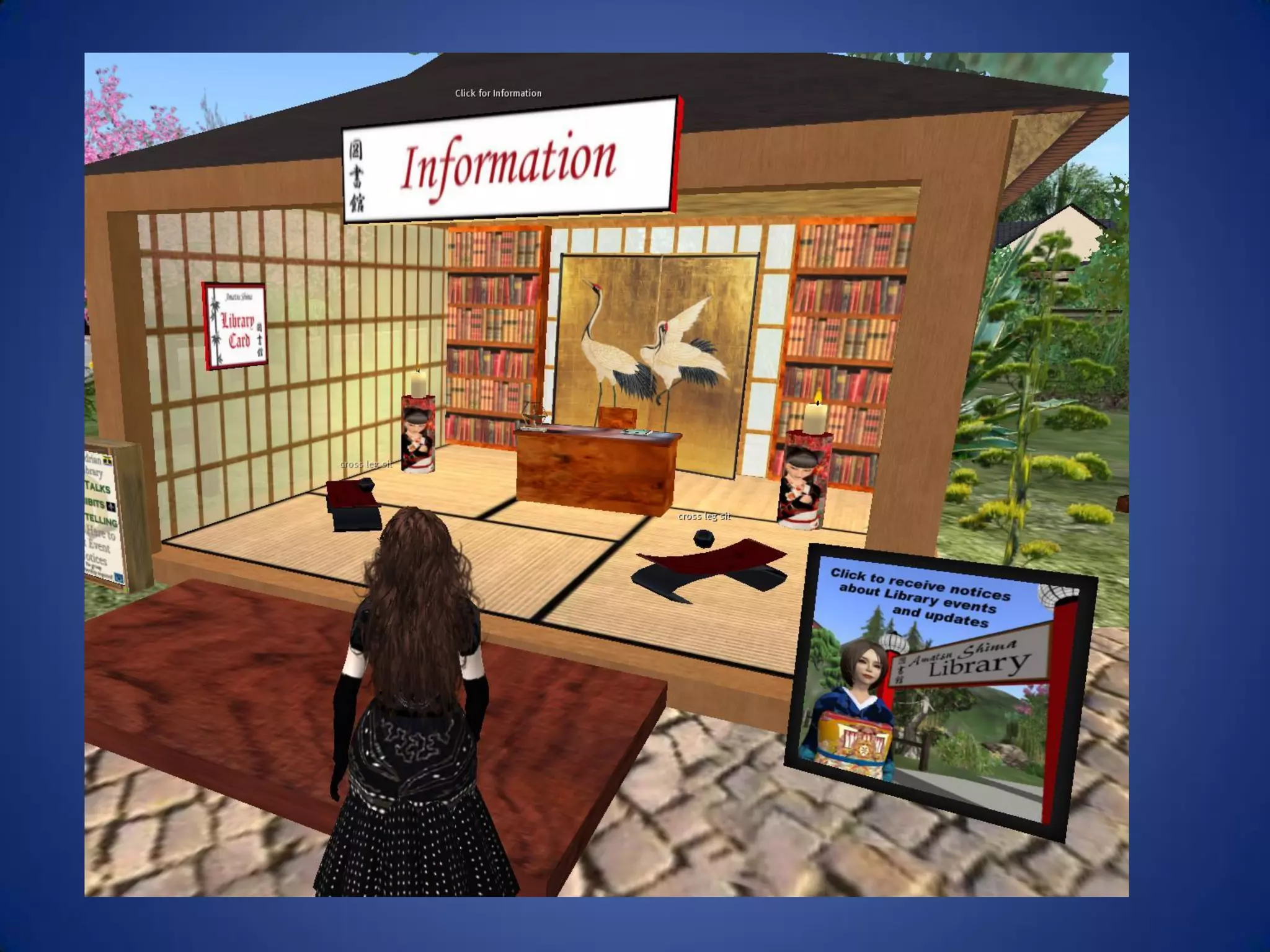 Libraries And Second Life