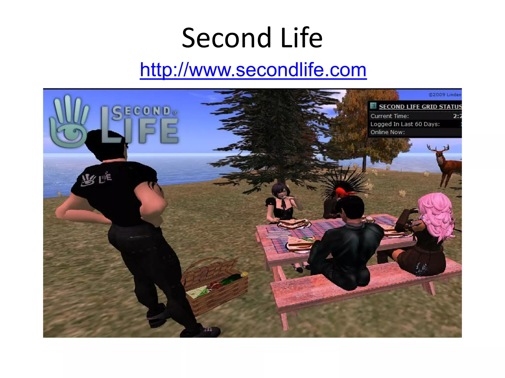 Libraries And Second Life