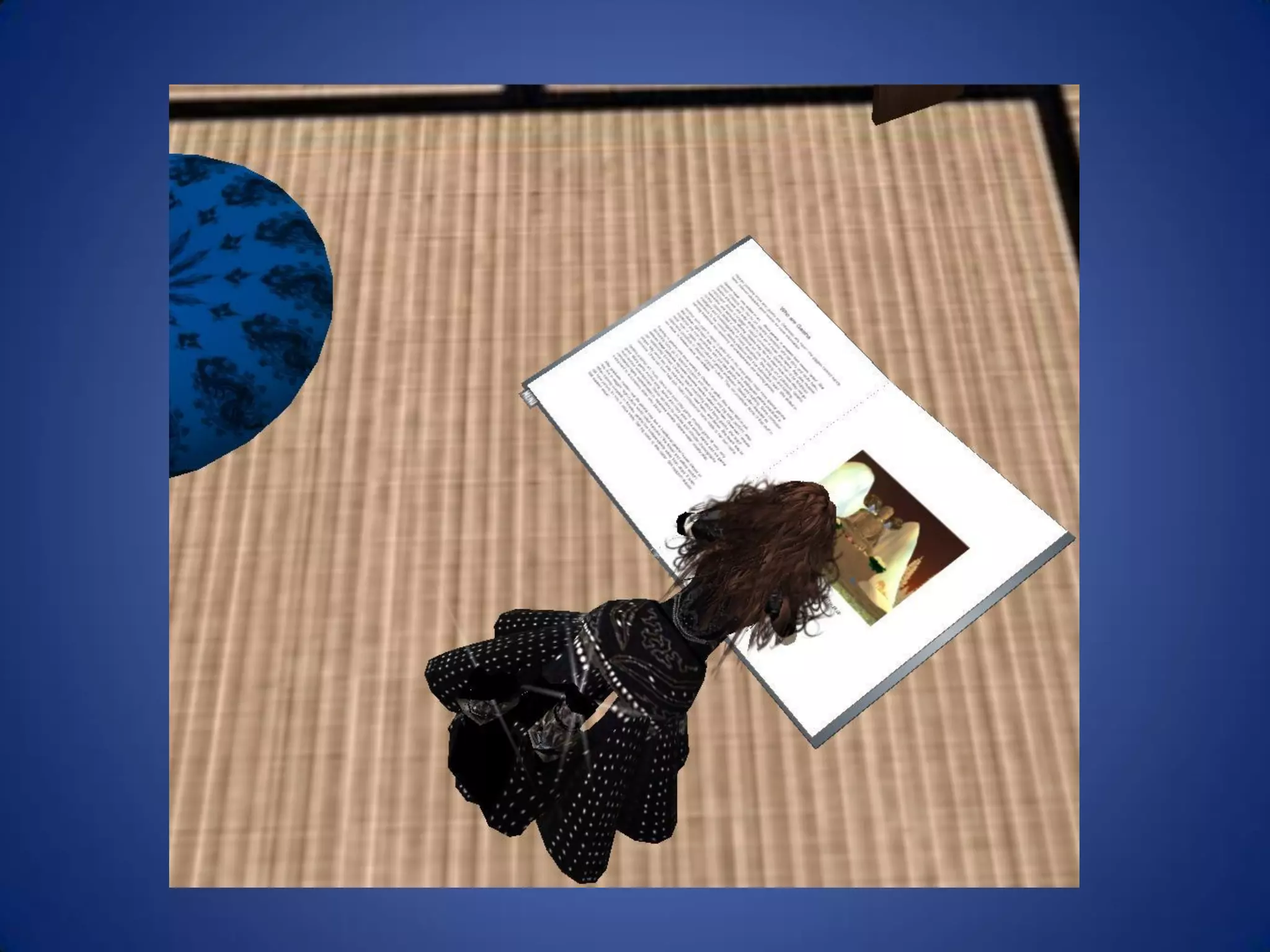 Libraries And Second Life