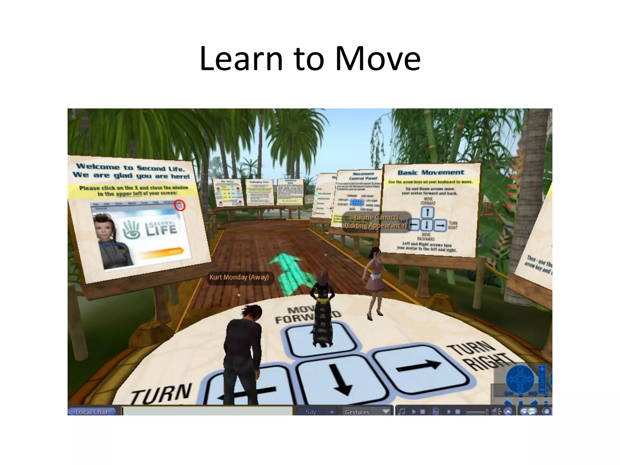 Libraries And Second Life