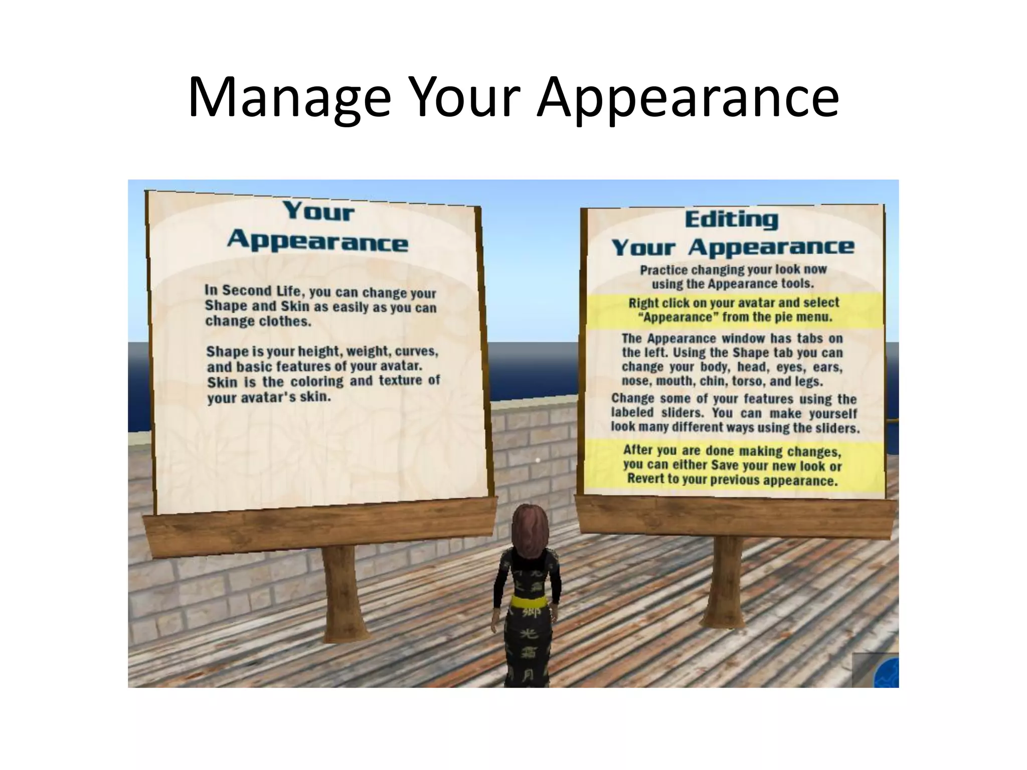 Libraries And Second Life