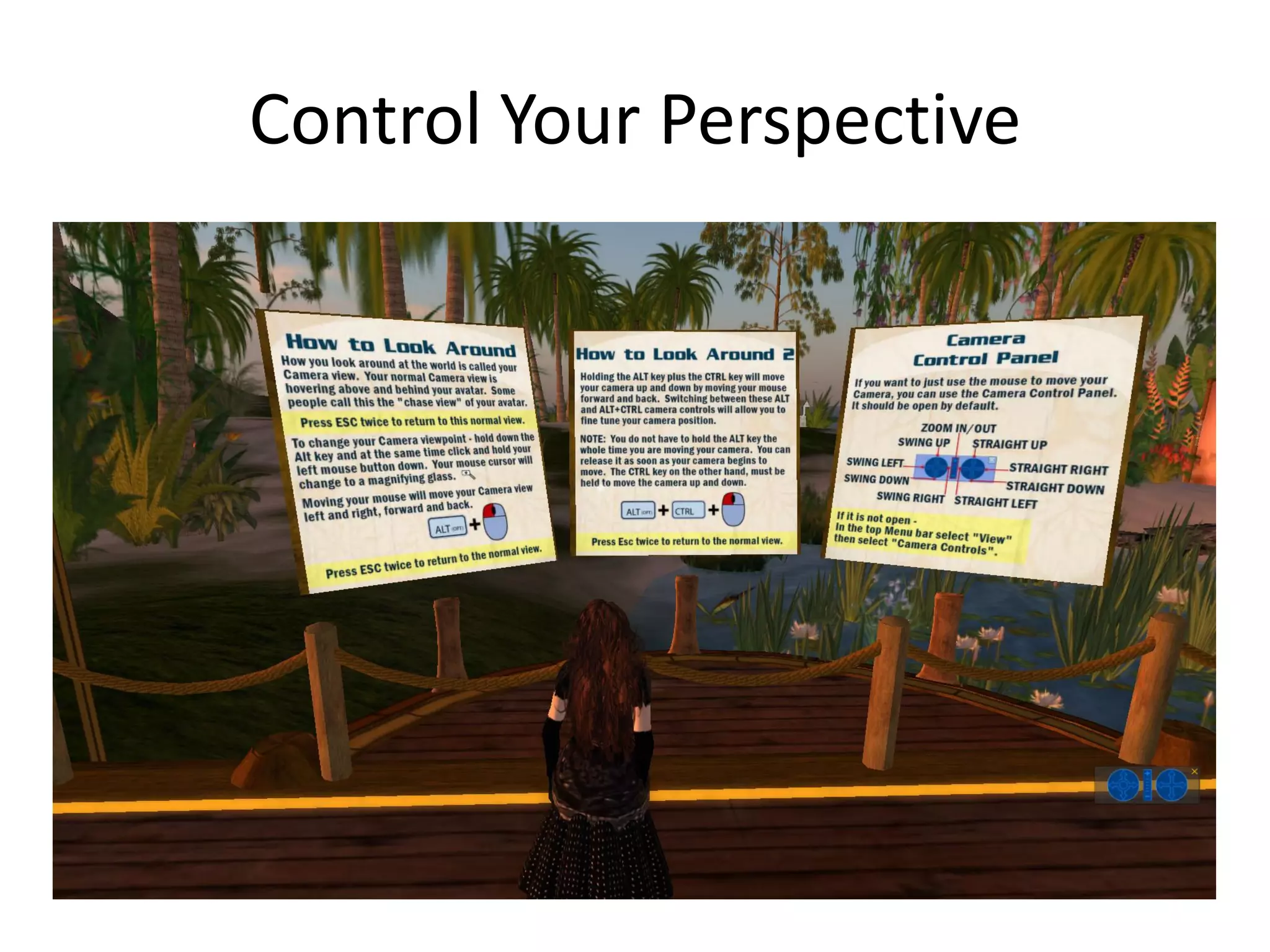 Libraries And Second Life