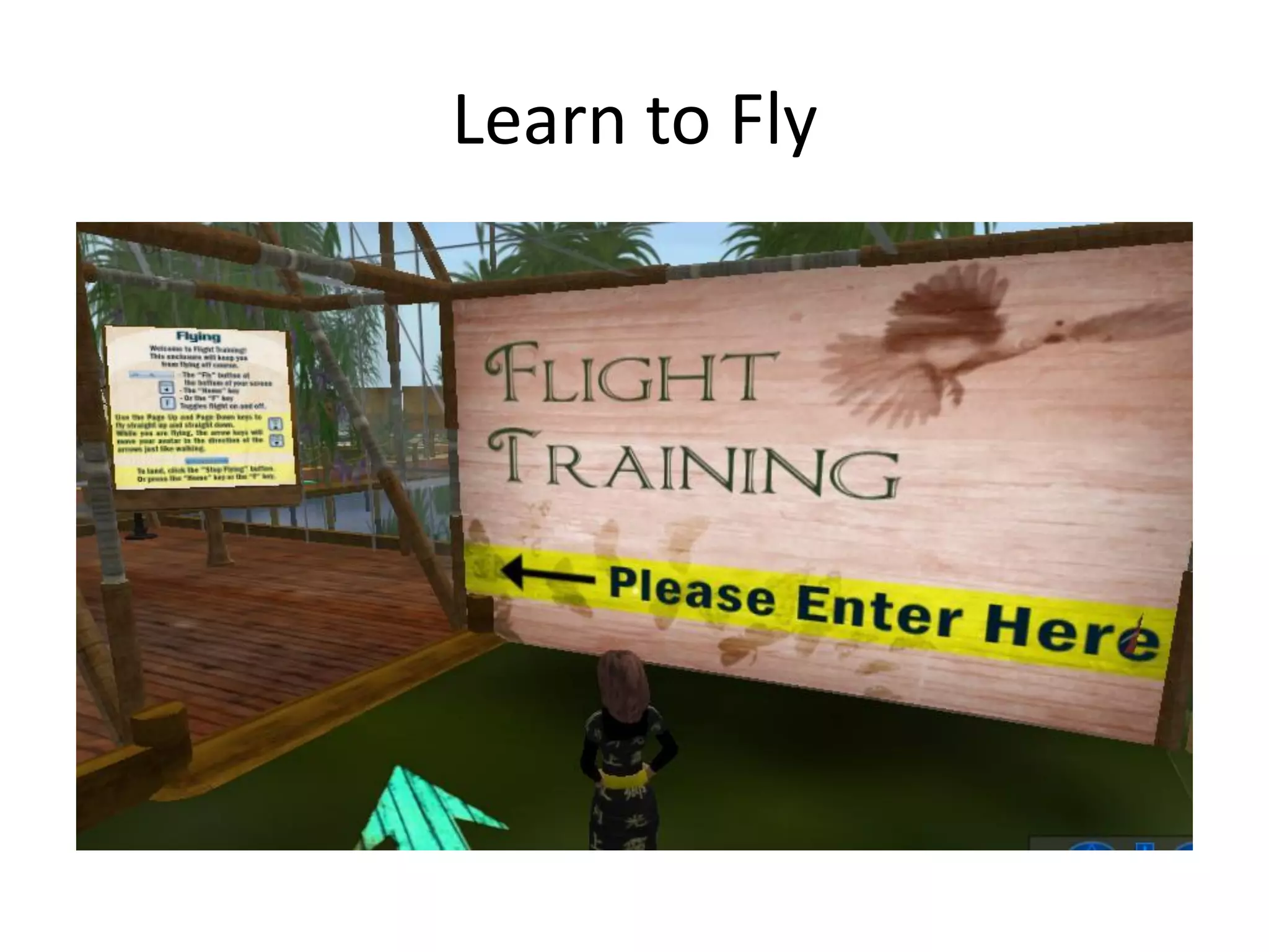 Libraries And Second Life