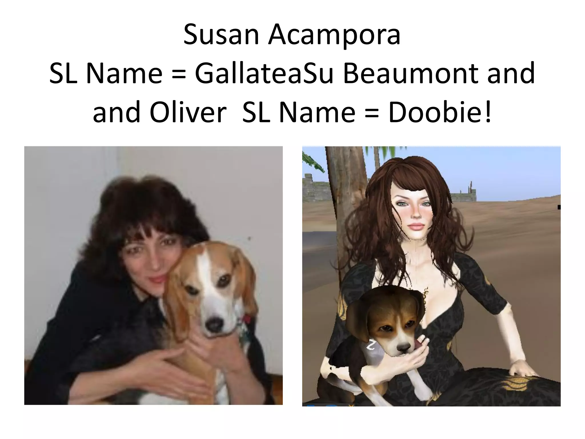 Libraries And Second Life