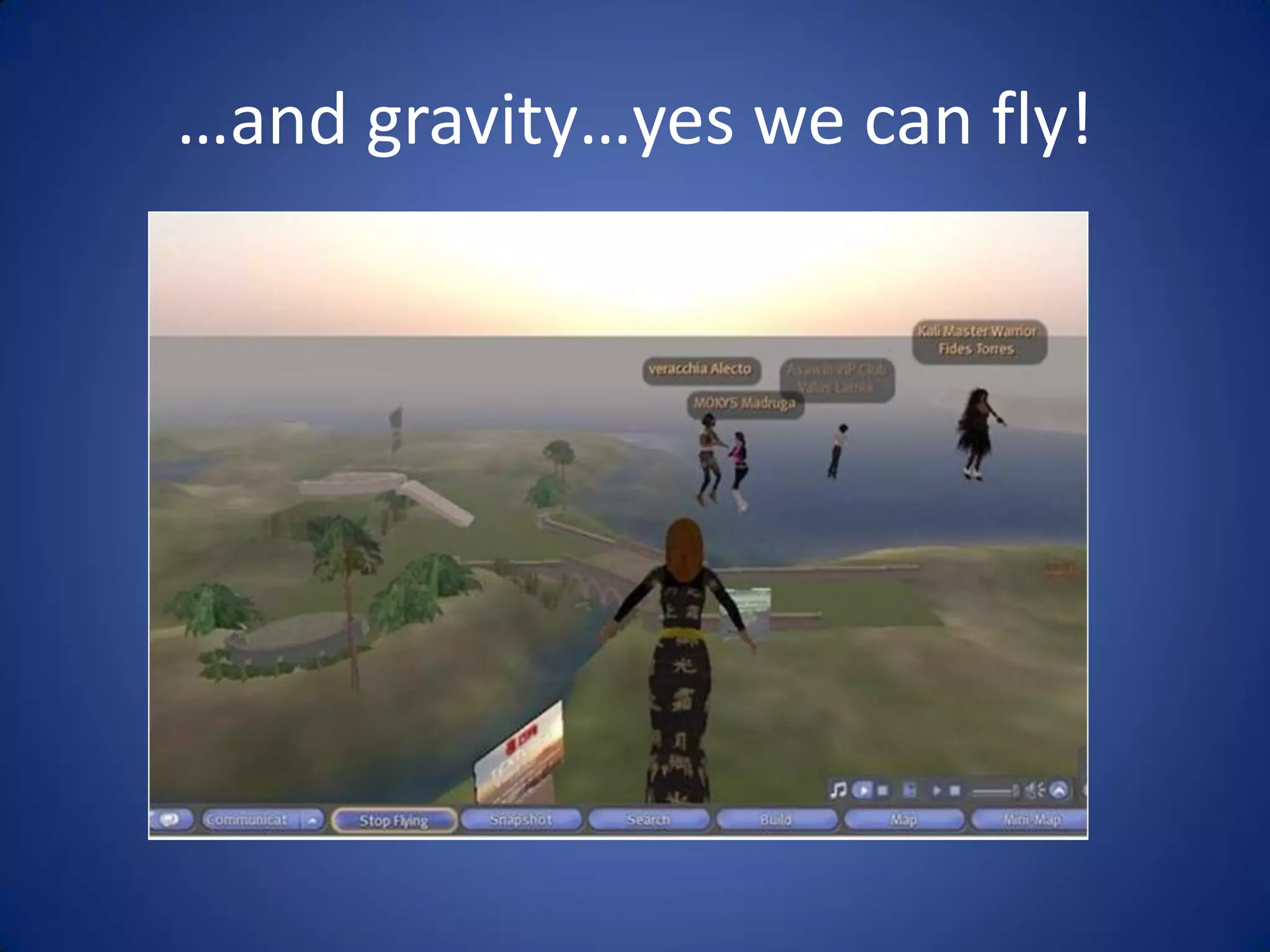 Libraries And Second Life