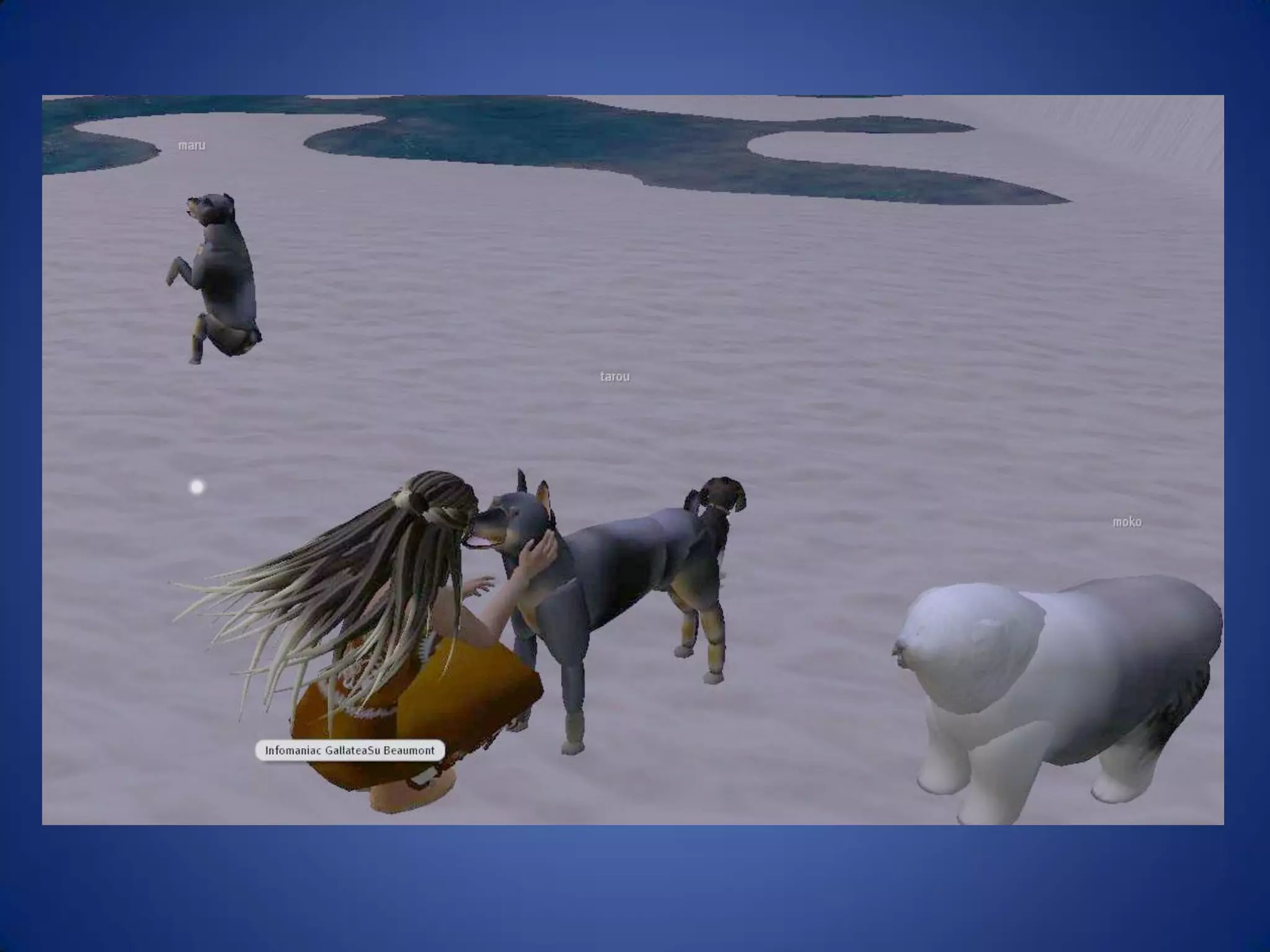 Libraries And Second Life