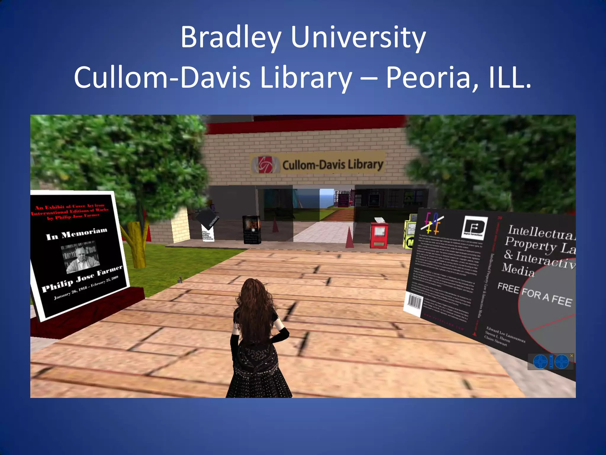 Libraries And Second Life