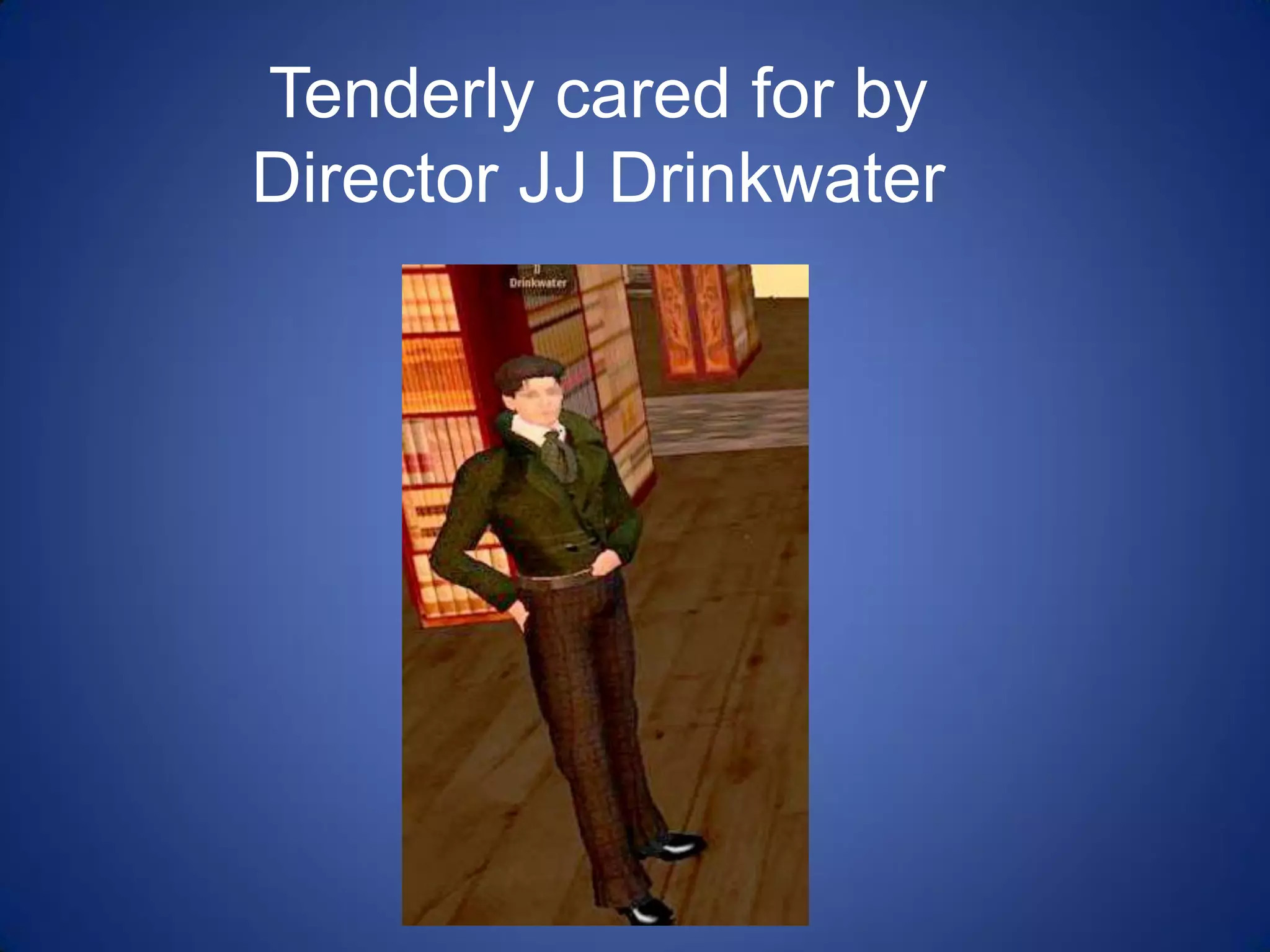 Libraries And Second Life