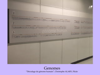 Genomes “Décodage du génome humain”, Christophe ALARY, Flickr  