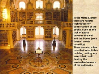 In the Mafra Library, there are natural techniques for conservation of the books, such as the lack of space between the wall and the books (so it doesn't create humidity). There are also a few bats that inhabit this building, eating any insect that could destroy the invaluable treasure of the old books. 