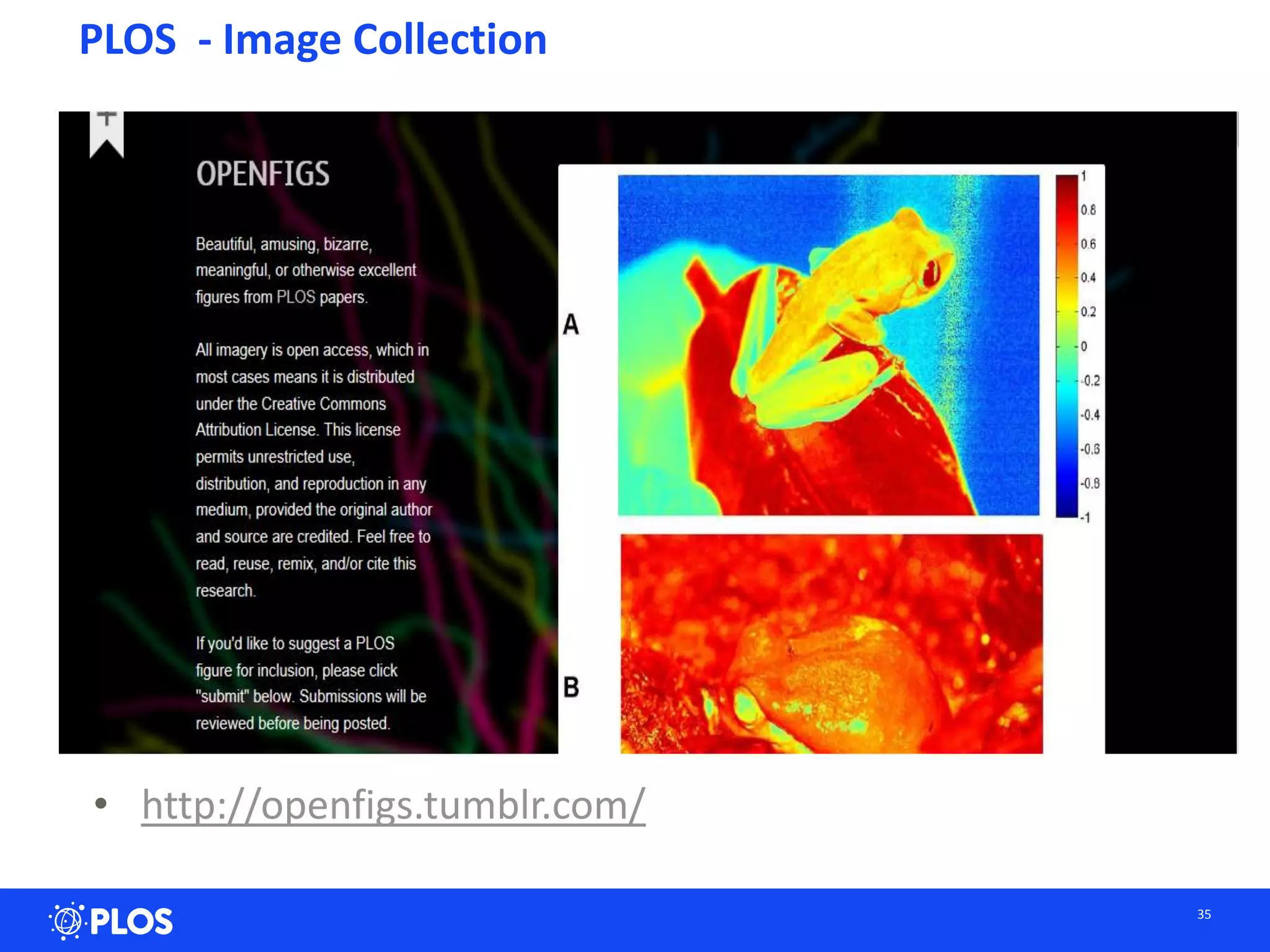 35
PLOS - Image Collection
• http://openfigs.tumblr.com/
 