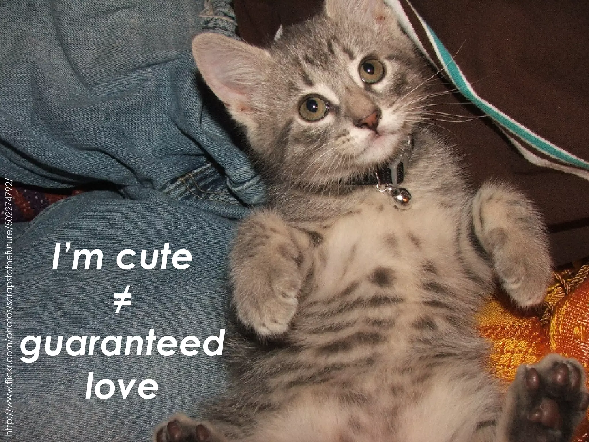 I’m cute ≠ guaranteedlove http://www.flickr.com/photos/scrapstothefuture/502274792/ 