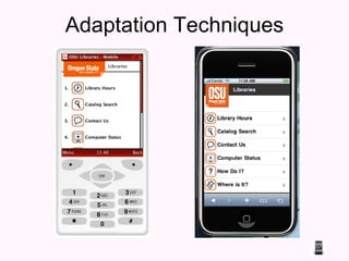 Adaptation Techniques 