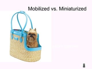 Mobilized vs. Miniaturized Library Examples 
