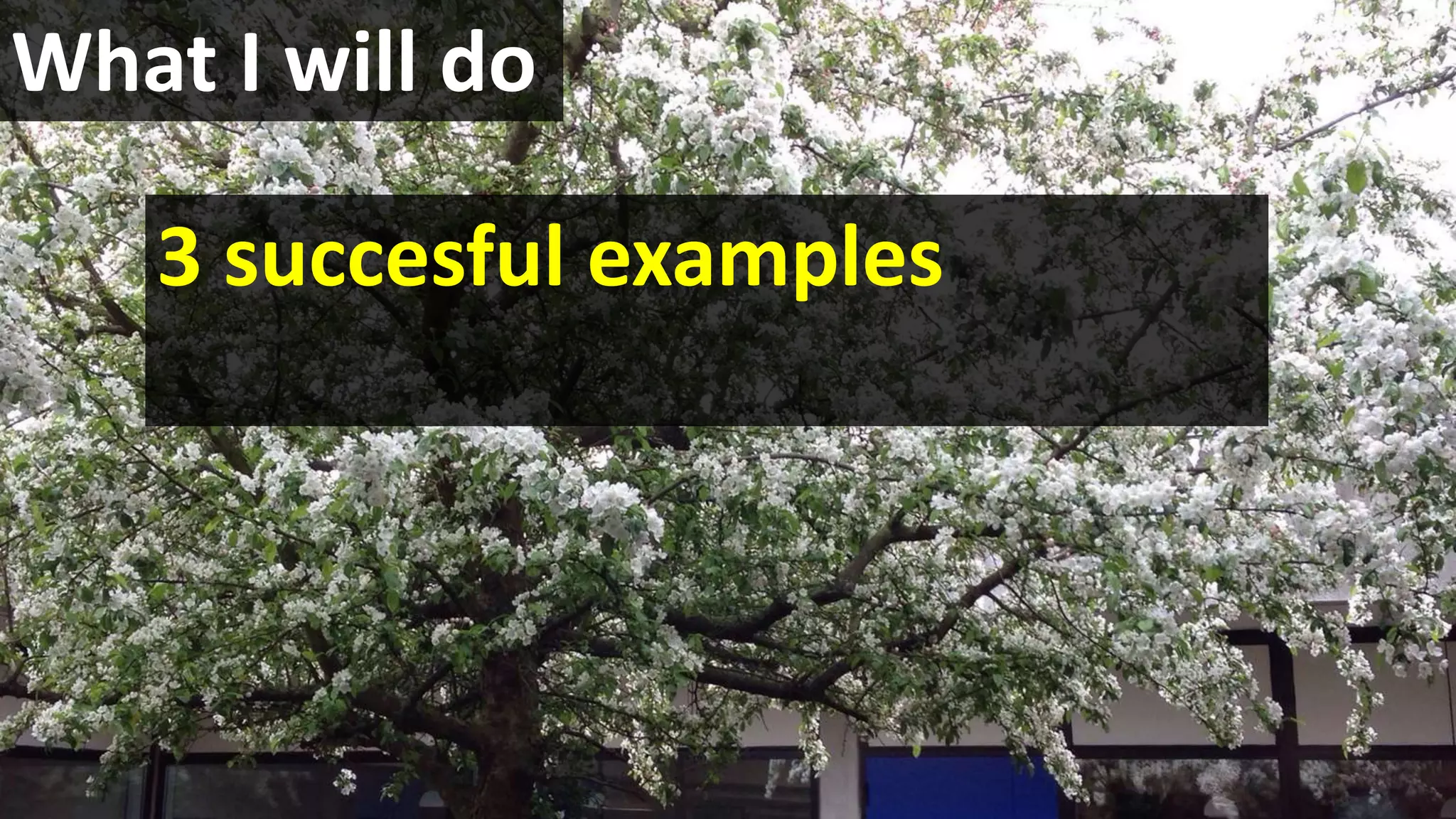 What I will do
3 succesful examples
 