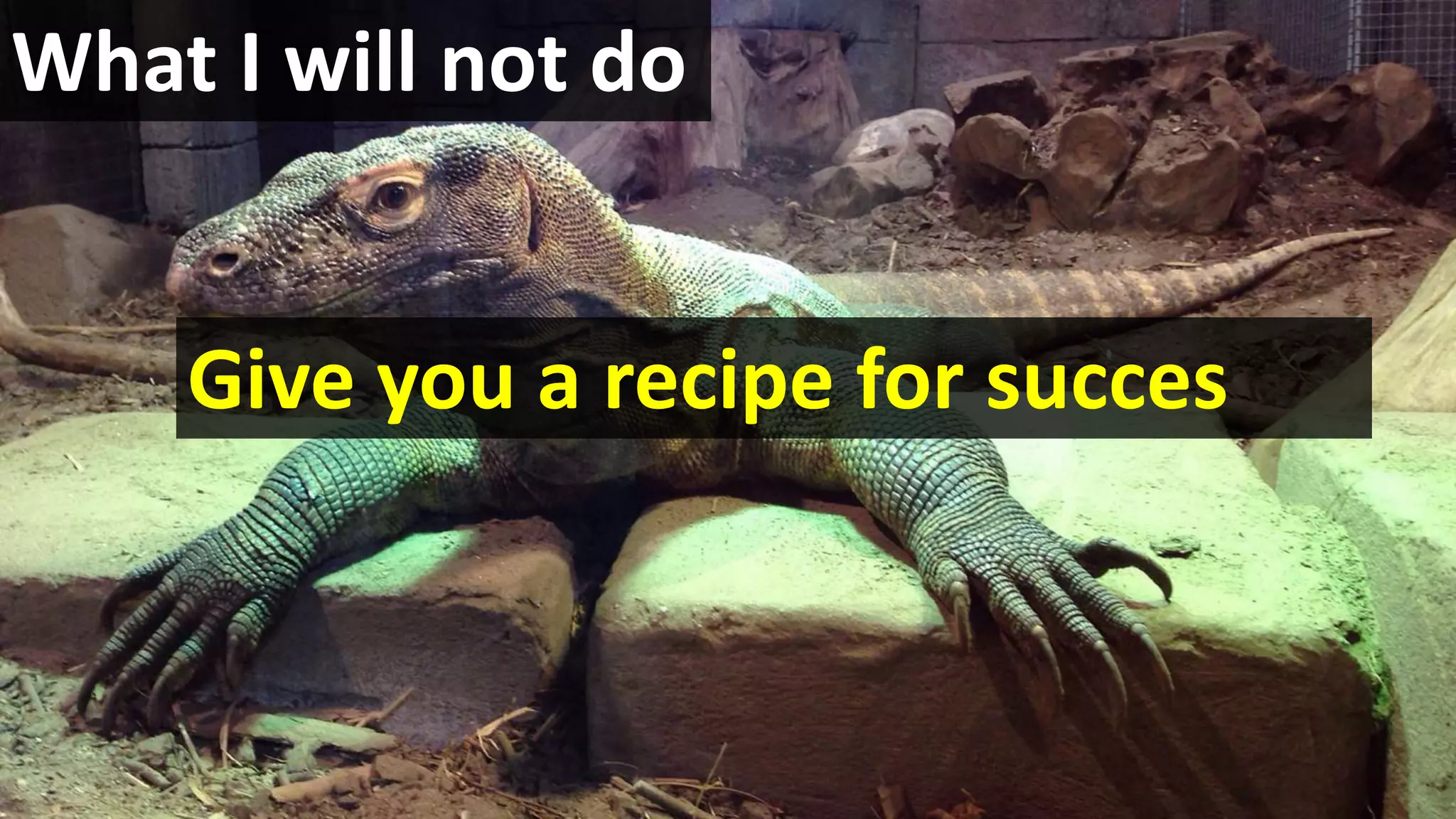 What I will not do
Give you a recipe for succes
 