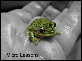 Micro Lessons 