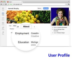 User Profile
 