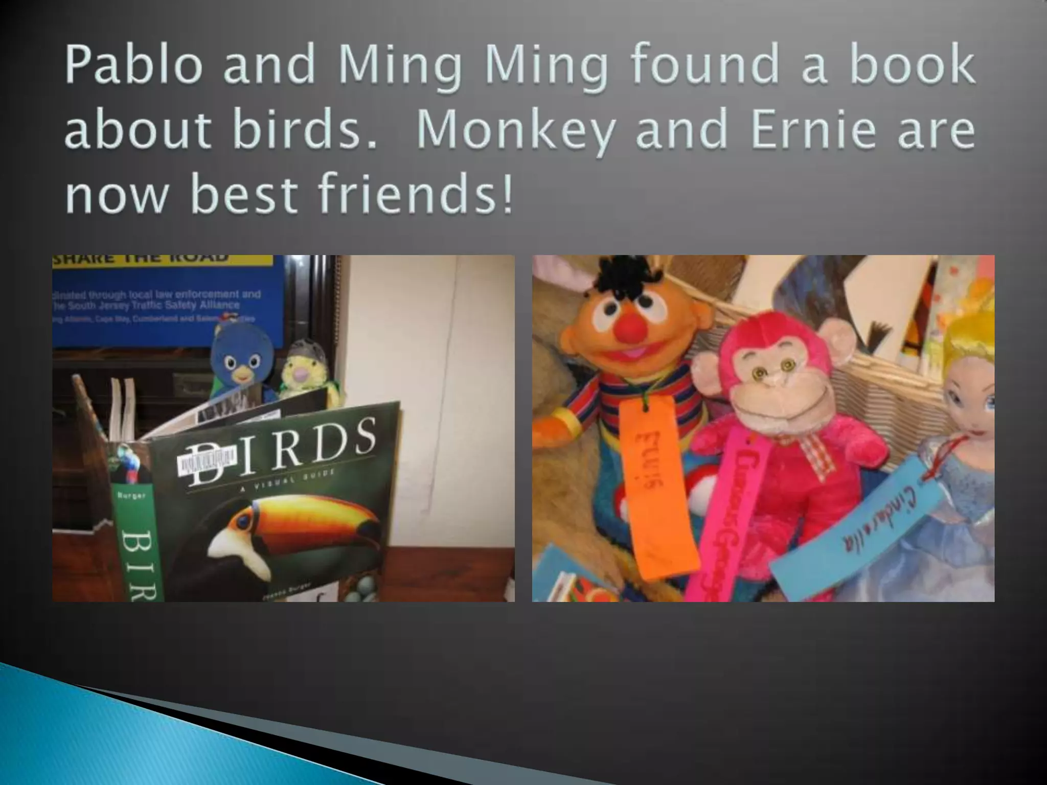 Pablo and Ming Ming found a book about birds.  Monkey and Ernie are now best friends!