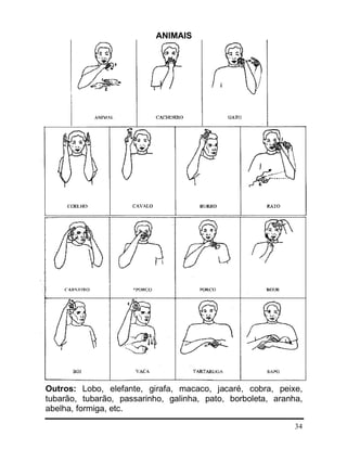 34
ANIMAIS
Outros: Lobo, elefante, girafa, macaco, jacaré, cobra, peixe,
tubarão, tubarão, passarinho, galinha, pato, borboleta, aranha,
abelha, formiga, etc.
 