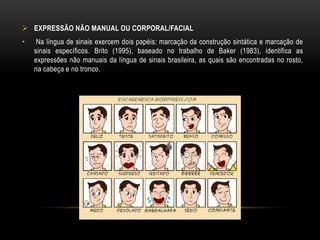  EXPRESSÃO NÃO MANUAL OU CORPORAL/FACIAL
• Na língua de sinais exercem dois papéis: marcação da construção sintática e marcação de
sinais específicos. Brito (1995), baseado no trabalho de Baker (1983), identifica as
expressões não manuais da língua de sinais brasileira, as quais são encontradas no rosto,
na cabeça e no tronco.
 