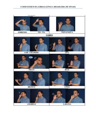 CURSO BÁSICO DA LIBRAS (LÍNGUA BRASILEIRA DE SINAIS)
 