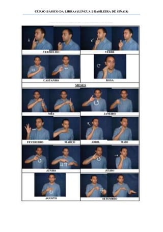 CURSO BÁSICO DA LIBRAS (LÍNGUA BRASILEIRA DE SINAIS)
 