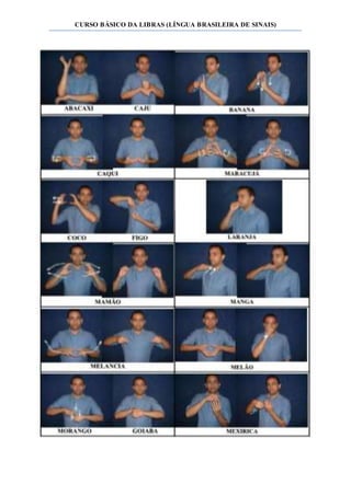 CURSO BÁSICO DA LIBRAS (LÍNGUA BRASILEIRA DE SINAIS)
 