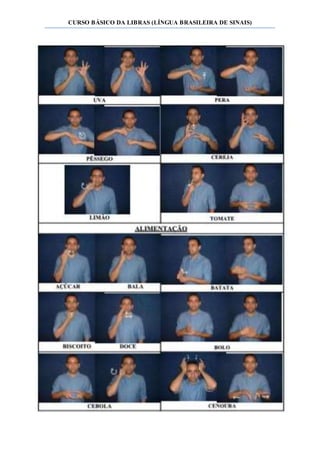 CURSO BÁSICO DA LIBRAS (LÍNGUA BRASILEIRA DE SINAIS)
 