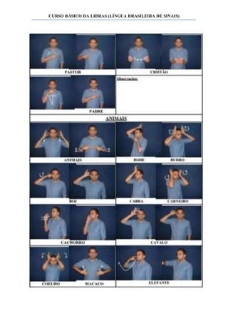 CURSO BÁSICO DA LIBRAS (LÍNGUA BRASILEIRA DE SINAIS)
 
