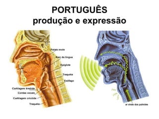 PORTUGUÊS
produção e expressão

 