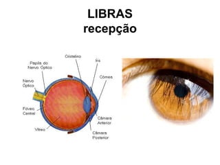 LIBRAS
recepção

 