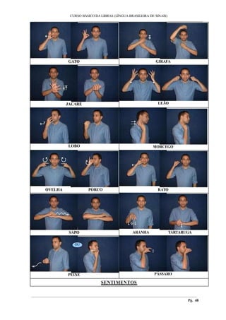 CURSO BÁSICO DA LIBRAS (LÍNGUA BRASILEIRA DE SINAIS)
___________________________________________________________________________________________
GATO GIRAFA
JACARÉ LEÃO
LOBO MORCEGO
OVELHA PORCO RATO
SAPO
OU
PEIXE
ARANHA TARTARUGA
PÁSSARO
SENTIMENTOS
________________________________________________________________________________________
Pg. 48
 