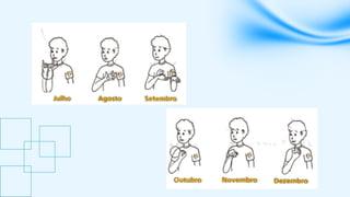 Comprehensive Introduction to Libras: Brazilian Sign Language and Deaf ...