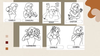 Comprehensive Introduction to Libras: Brazilian Sign Language and Deaf ...