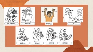 Comprehensive Introduction to Libras: Brazilian Sign Language and Deaf ...