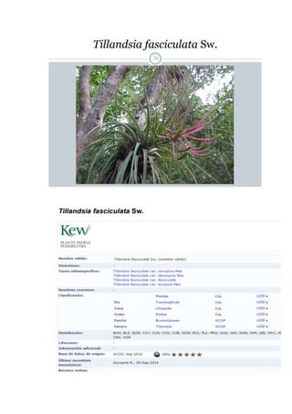 Libro de familias botanicas