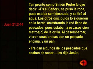 Tan pronto como Simón Pedro le oyó decir: «Es el Señor», se puso la ropa, pues estaba semidesnudo, y se tiró al agua. Los otros discípulos lo siguieron en la barca, arrastrando la red llena de pescados, pues estaban a escasos cien metros[c] de la orilla. Al desembarcar, vieron unas brasas con un pescado encima, y un pan. —Traigan algunos de los pescados que acaban de sacar —les dijo Jesús. Juan 21:2-14
