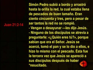 Tan pronto como Simón Pedro le oyó decir: «Es el Señor», se puso la ropa, pues estaba semidesnudo, y se tiró al agua. Los otros discípulos lo siguieron en la barca, arrastrando la red llena de pescados, pues estaban a escasos cien metros[c] de la orilla. Al desembarcar, vieron unas brasas con un pescado encima, y un pan. - Traigan algunos de los pescados que acaban de sacar —les dijo Jesús. Juan 21:2-14
