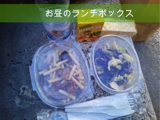14
お昼のランチボックス
 