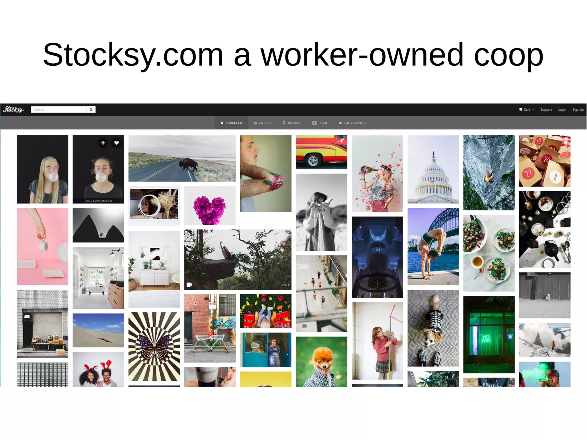 Stocksy.com a worker-owned coop
 