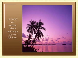 … o como las suaves brisas matinales que os deleitan. 