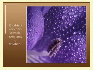¿Podríais ser como el rocío sosegante y matutino… 