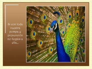 Si con toda vuestra pompa y presunción no llegáis a ella… 