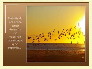 Habláis de ser libres como único fin de vuestros corazones, y no reparáis…  