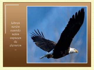 Libres seréis cuando seáis capaces de elevaros… 